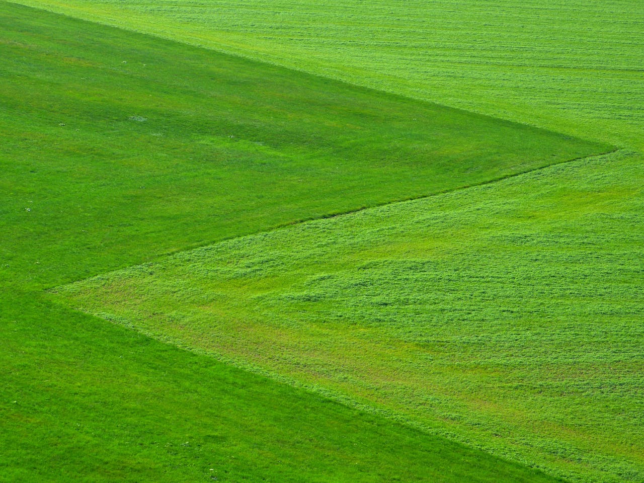 Aerial view of a vibrant green field showcasing natural patterns and textures in the landscape.
