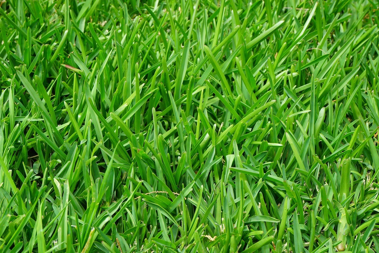 Vertificiel – Gazon synthétique de qualité à Carcassonne et ses environs