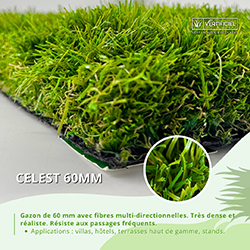 CELEST 60MM