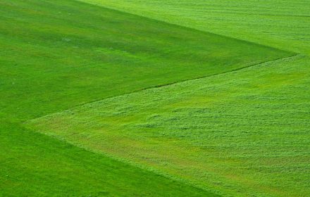 meadow-green-grass-nature-65281 Aerial view of a vibrant green field showcasing natural patterns and textures in the landscape.